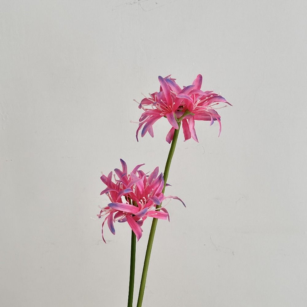 2 Heads Simulation Lycoris Flower Realistic Artificial Silk Flower Wedding Site Decoration