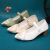 Pantofi cu toc înalt pentru femei Pantofi noi Mary Jane Pantofi casual din pânză de bumbac cu flori brodate de lux Eleganți cu vârf ascuțit, cu toc pătrat, pantofi cu toc