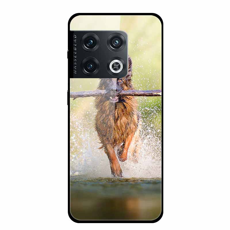 For One plus 10 Pro Case Shockproof Tempered Glass Hard Back Cover For OnePlus 10 Pro 10Pro Oneplus10 1+10 Pro Bumper Coque Case