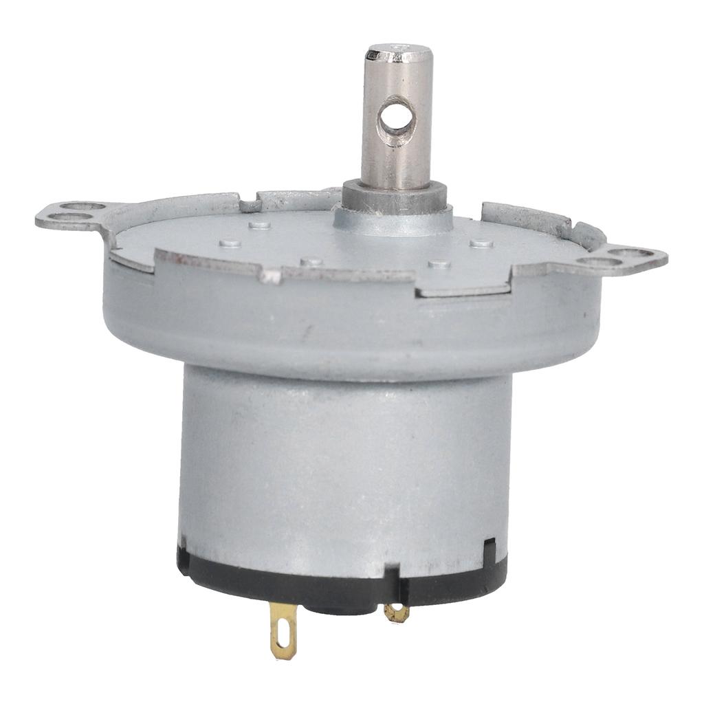 100RPM Synchronous Motor High Torsion Electric Micro Speed Reduction Geared Motor DC 12V