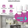 KT-PM09 APP/Voice Control Smart WiFi Plug 20A 4200W Wireless Home Outlet Socket with Power Monitor Function