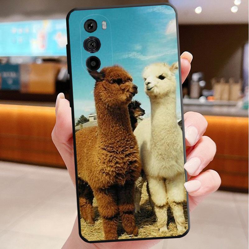 Lama Alpacas Animal Phone Case For Motorola Edge 60 50 40 Pro 60 50 40 30 Ultra Neo Fusion Moto G Play G Stylus G Carcasas