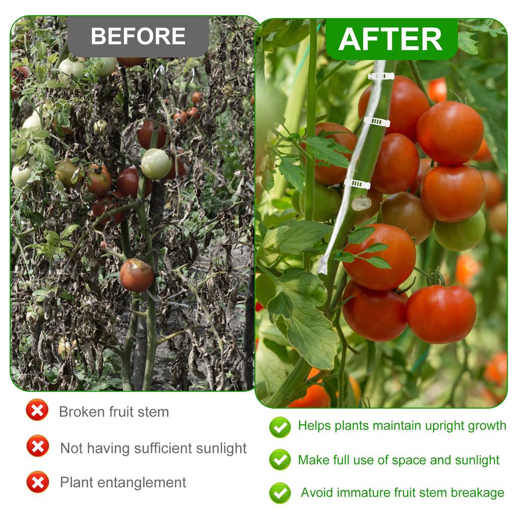 10 Pièces Crochets à Roulettes pour Tomates Solides Kit de Treillage pour Plantes à Fleurs et Légumes avec Corde de 15m Corde Polyvalente Crochets à Roulettes pour Treillage de Plantes