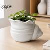 Conch Shaped Planter 3D Printed Flower Pot, Moisture-Resistant Mini with Wavy Edge And Drainage Flowerpot Drain Hole Design, Ocean Style for