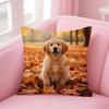 NICE CUTE Samoyed Dog Cushion Cover Pillow Case Soft Friendly Fabric  Concealed Zipper