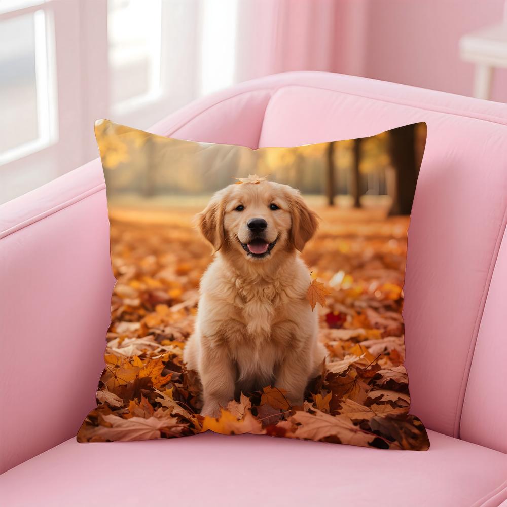 NICE CUTE Samoyed Dog Cushion Cover Pillow Case Soft Friendly Fabric  Concealed Zipper