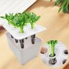 6 Holes Hydroponic Grower Kit Self Watering Nursery Pots Soil-Free Planting Box  Vegetable Growing