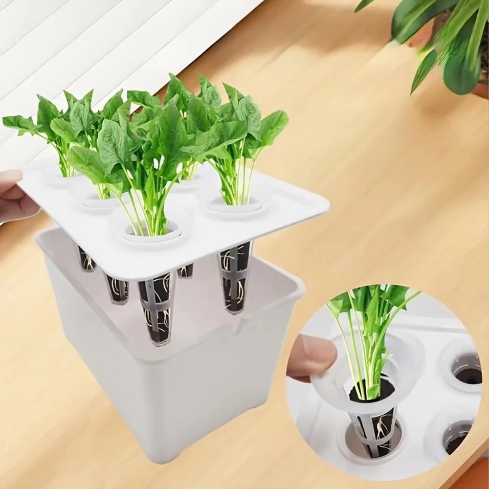 6 Holes Hydroponic Grower Kit Self Watering Nursery Pots Soil-Free Planting Box  Vegetable Growing