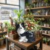Cute Ceramic Dog Vase Handmade Flower Pot Plant Pot Bonsai Vase Garden Art