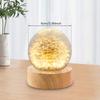 Crystal Ball Night Lights 3D Dandelion Luminous Table Lamp Bedroom Home Decor for Kids Party Children Birthday Gifts Flower Lamp