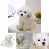Adorable Jouet en Peluche Bichon Maltais Blanc, Rempli de Fibre, Animal en Peluche à Poils Longs, 33x24x16cm/38x26x21cm