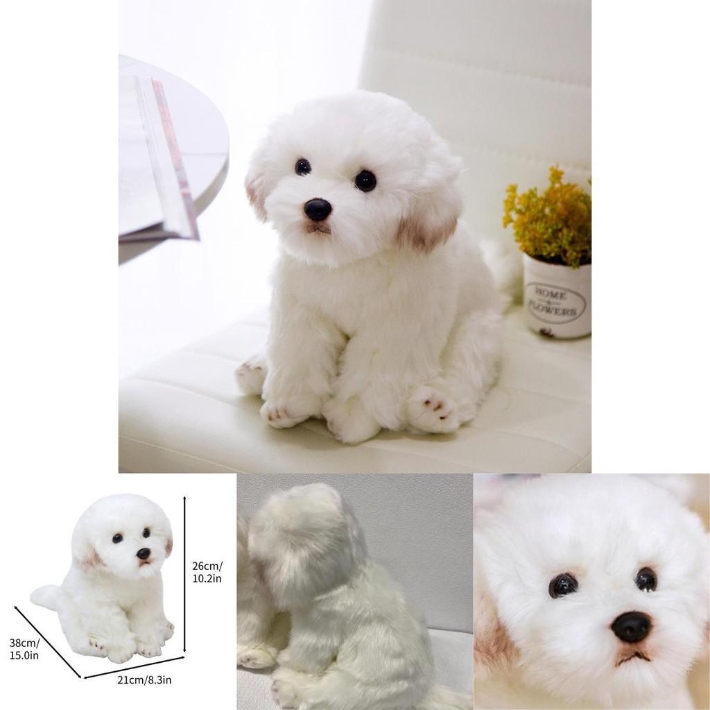 Adorable Jouet en Peluche Bichon Maltais Blanc, Rempli de Fibre, Animal en Peluche à Poils Longs, 33x24x16cm/38x26x21cm