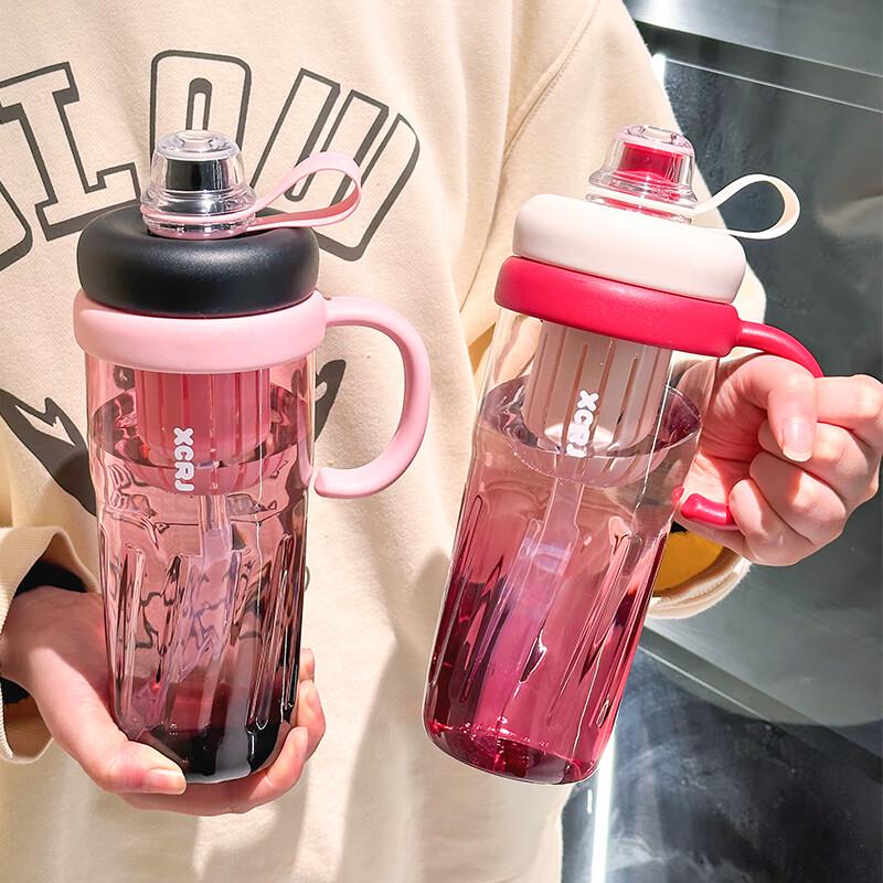 Portable Tea Infuser Straw Water Bottle 950ml