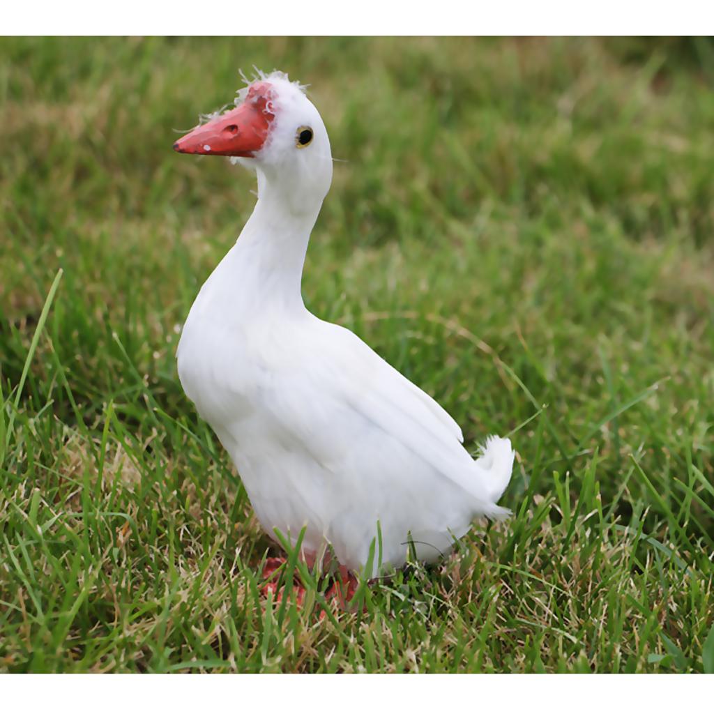 Künstliche Feder Vögel Dekorationen Handwerk Geschenk Ornamente 15