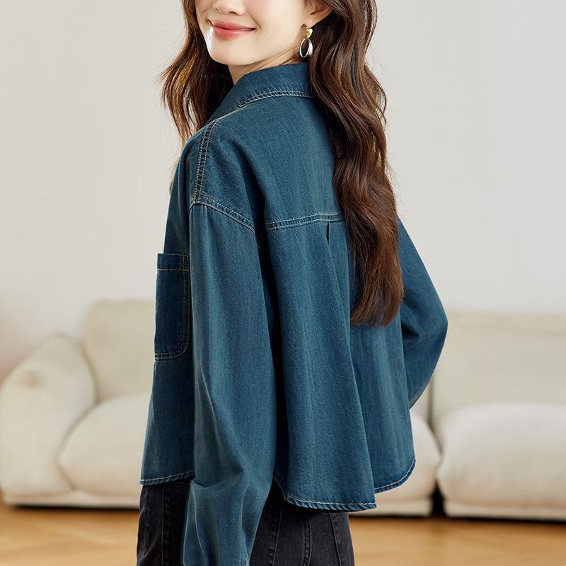 Old Vintage Style Denim Blouse for Women Long-sleeved Spring and Autumn Clothes Updated Small One Layered Top