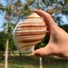 Natural Conch Seashell Aquarium Decor for Hermit Crabs