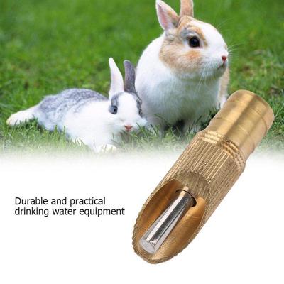 10Pcs/ Set Stainless Steel Automatic Nipple Waterer For Rat Ferrets