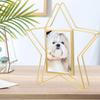 VOSAREA Vertical Photo Frame Star Shape Metal Wire Art Picture Frame Floating Picture Frames Rotatable Picture Display Frame Ideal for Housewarming