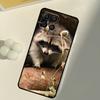 Raccoon For Samsung Galaxy M15 M35 M21 M16 M06 M33 M13 M53 M11 M31 M55 M14 M34 M54 M12 M32 M52 Case