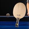 Masa Tenisi – Ping Pong Raketleri