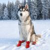 4PCS/SET Thickened Pet Snow Boots Warm Dog Cotton Shoes Dog Footwear Winter Dog Snow Boots  Winter
