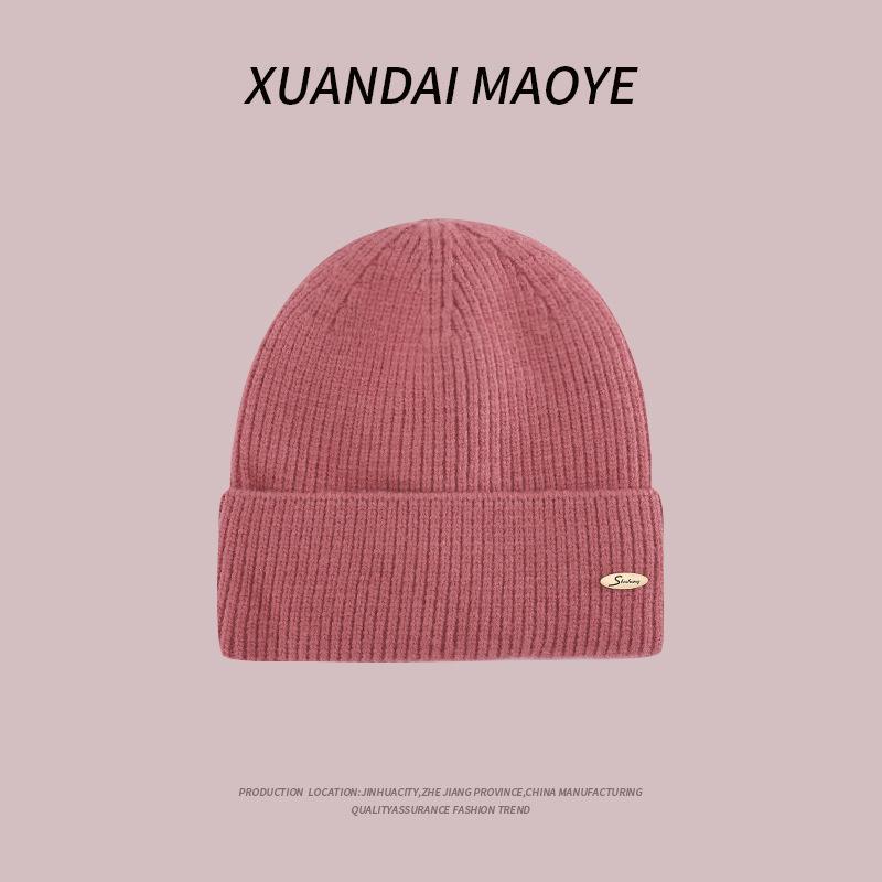 Autumn and Winter Casual Hats for Women Plush New Korean Knitted Hats Versatile Warm Ear Protection and Thickened Fashion Student