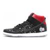 Dunk High SB Premium QS