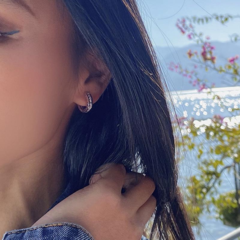 Retro Inlaid Silver Diamond Stud Earrings - Women's High-End Luxury French Hoops & Ear Cuffs