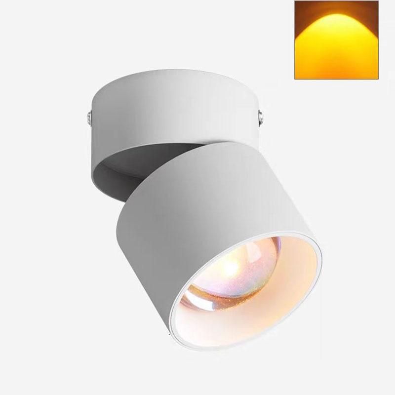 Modest Ceiling Lamps Surface/Embedded Ceiling Spot Lighting Dimmable Ceiling Lamps Room Round Bedroom Home and Decoration