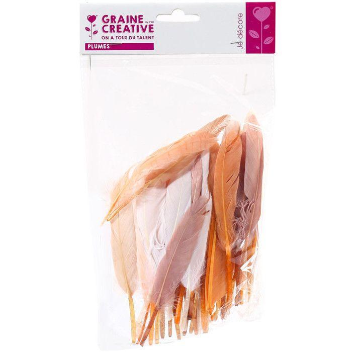 Plumes d'indien - Camaïeu - Beige - Sachet de 10g - Environ 40 plumes - Longueur 15cm