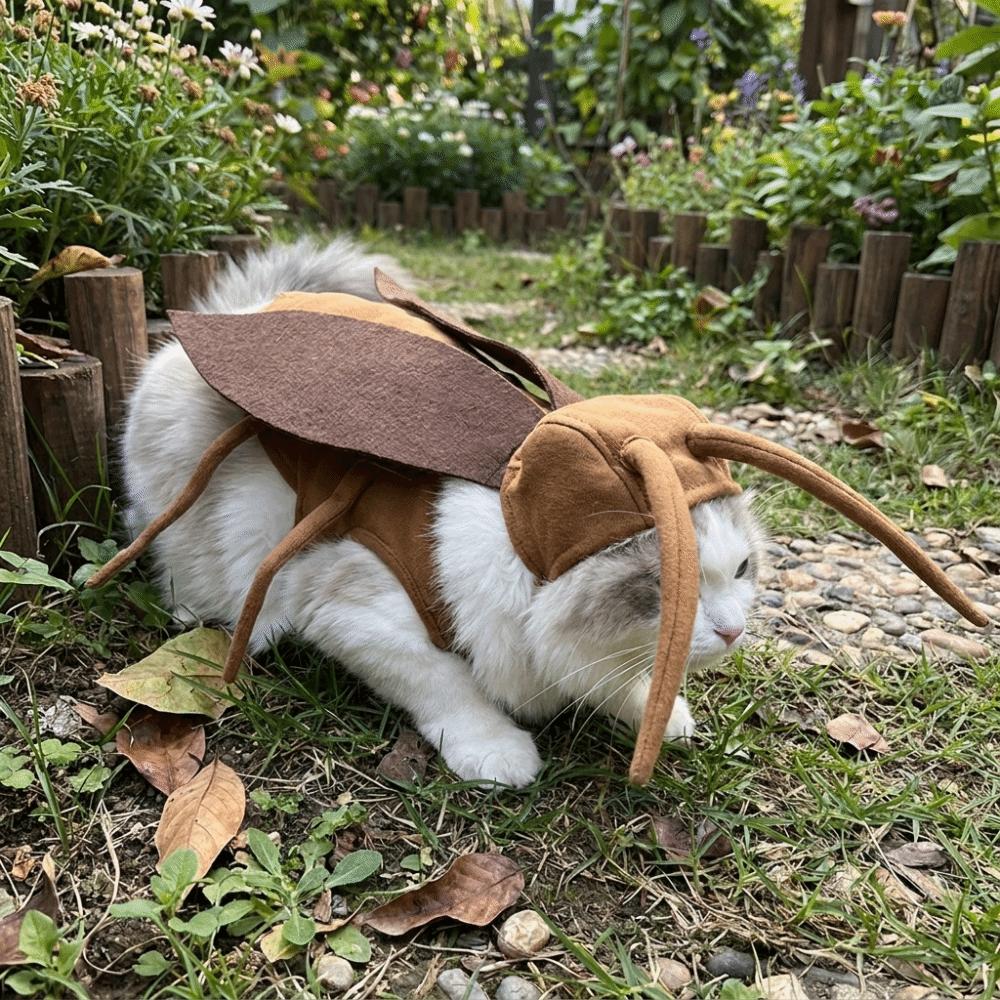 with Wing Pet Cockroach Cosplay Costume Realistic Cat Cosplay Clothes Halloween
