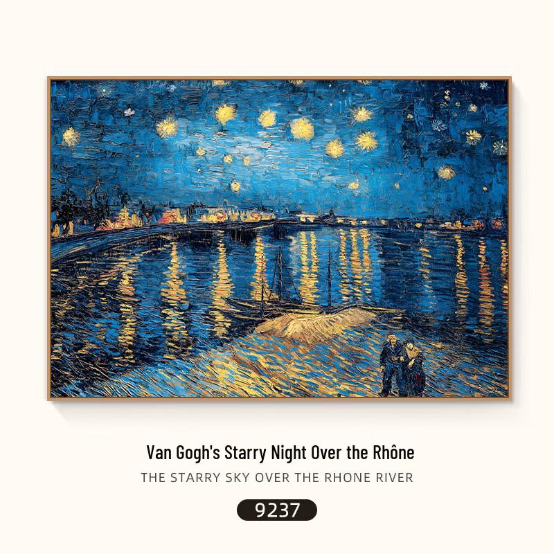 European Style Framed Canvas Print: Starry Night Over the Rhône 70x50cm