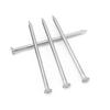 BENXINNONG 304 Stainless Steel Round Concrete Wall Nails