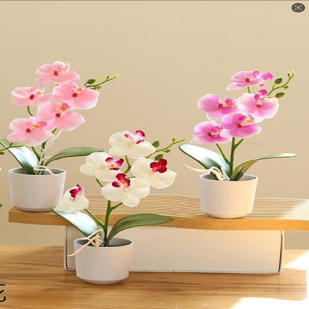 Creativ Opt Capete Film Phalaenopsis Bonsai Floare Simulare Floare Falsă Simulare Ghiveci Artificial Decor Acasă Birou