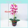 Phalaenopsis Aphrodite Rchb Dekorative Kunstpflanze mit Seidenblumen für Tischdekorationen und Geschenk
