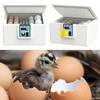 Digital Display Poultry Smart Incubator Foam Insulation Eggs Hatcher Machine  Farm