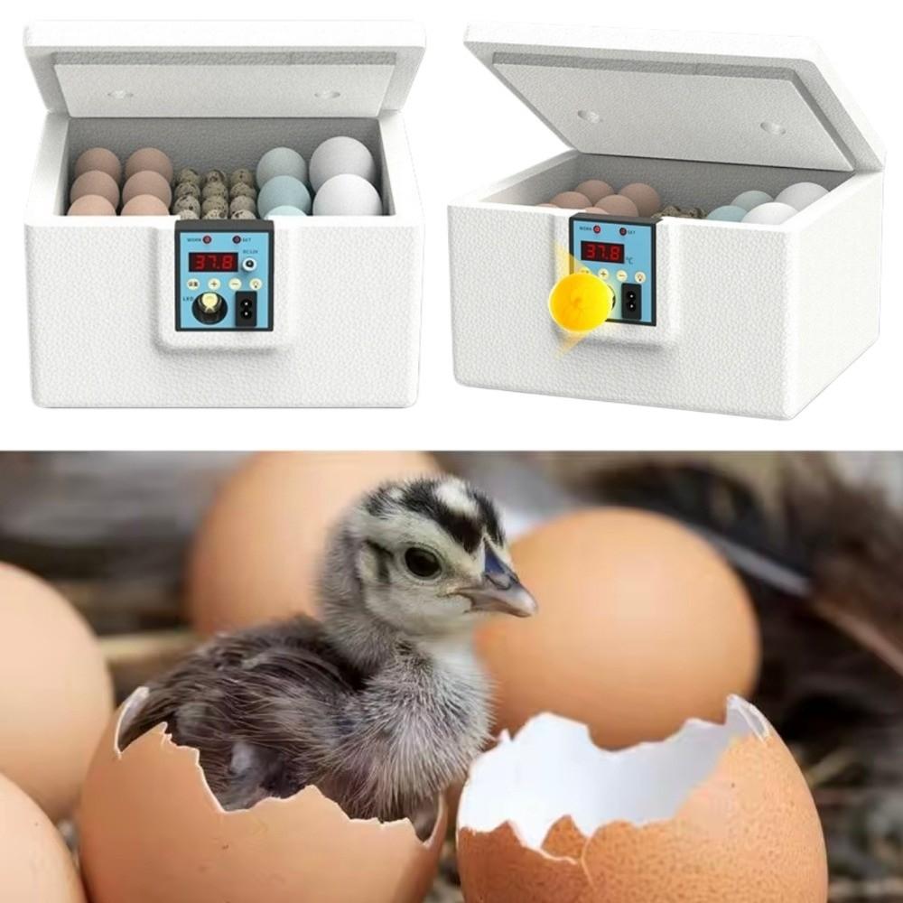 Digital Display Poultry Smart Incubator Foam Insulation Eggs Hatcher Machine Farm