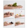 Early Education Kids Child Realistic Animal Growth Process Figures Toy Model