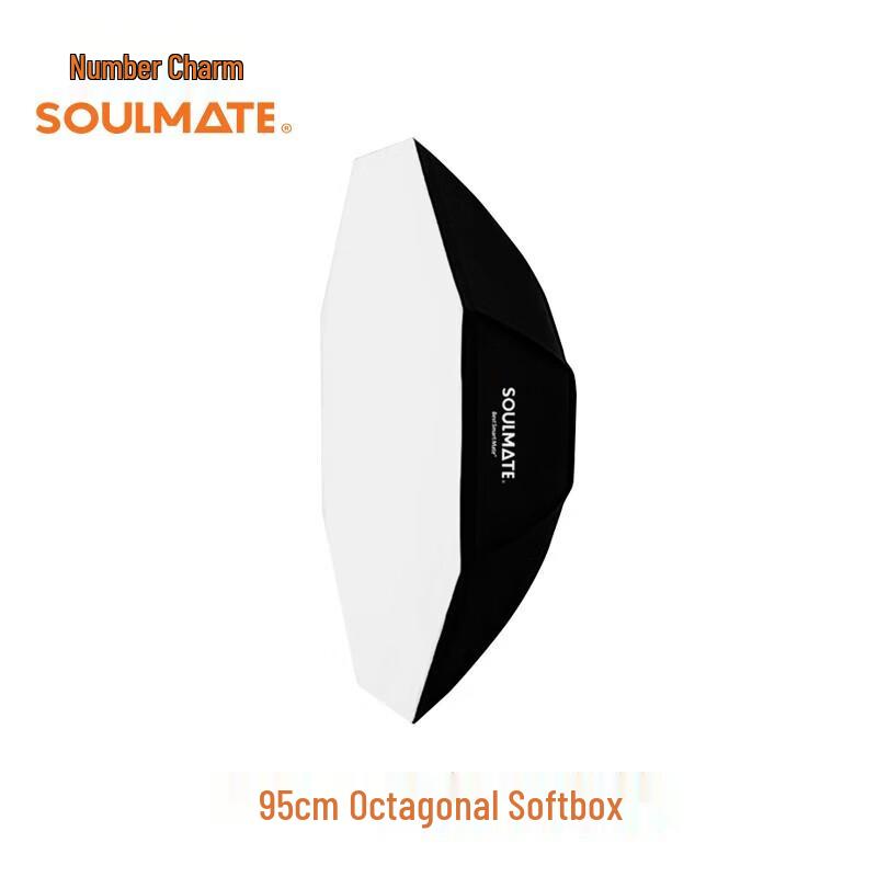 SOULMATEE200 LED Octagonal Softbox