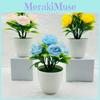 Rose Blossom Miniature Plant With Artificial Silk Flowers For Home Decor And Office Display