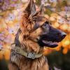 Dog Velcro Collar Quick Release Collar Medium Large Dog Accessories Adjustable Collar Velcro