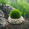 3D Printed Aquarium Cave 2Pcs Shrimp Caves for Plants, Round Hideouts, Cherry & Dwarf Habitat Hides Moss Ferns And Anubias, Tank Decoration Freshwater