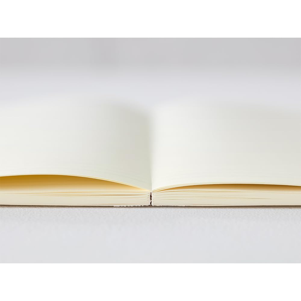 Midori MD Notizbuch Tagebuch 2026 Monatsplaner Taschenbuch 22404006 Beginnt Dezember 2025