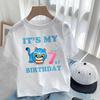 It's My 3 4 5 6 7 8 9 Years Birthday Girls Boys Cartoon K-Pop Demon Tiger Hunters Cute Kids Clothes Children Print T-Shirts
