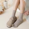 Female Spring and Autumn Leisure All Match Pure Color 10A Antibacterial Deodorant Perspiration Long Five Finger Socks