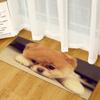 Animal Entry Mat Kitchen Absorbent Mat Bathroom Non-Slip Mat Bedroom Living Room Carpet Floor Mat