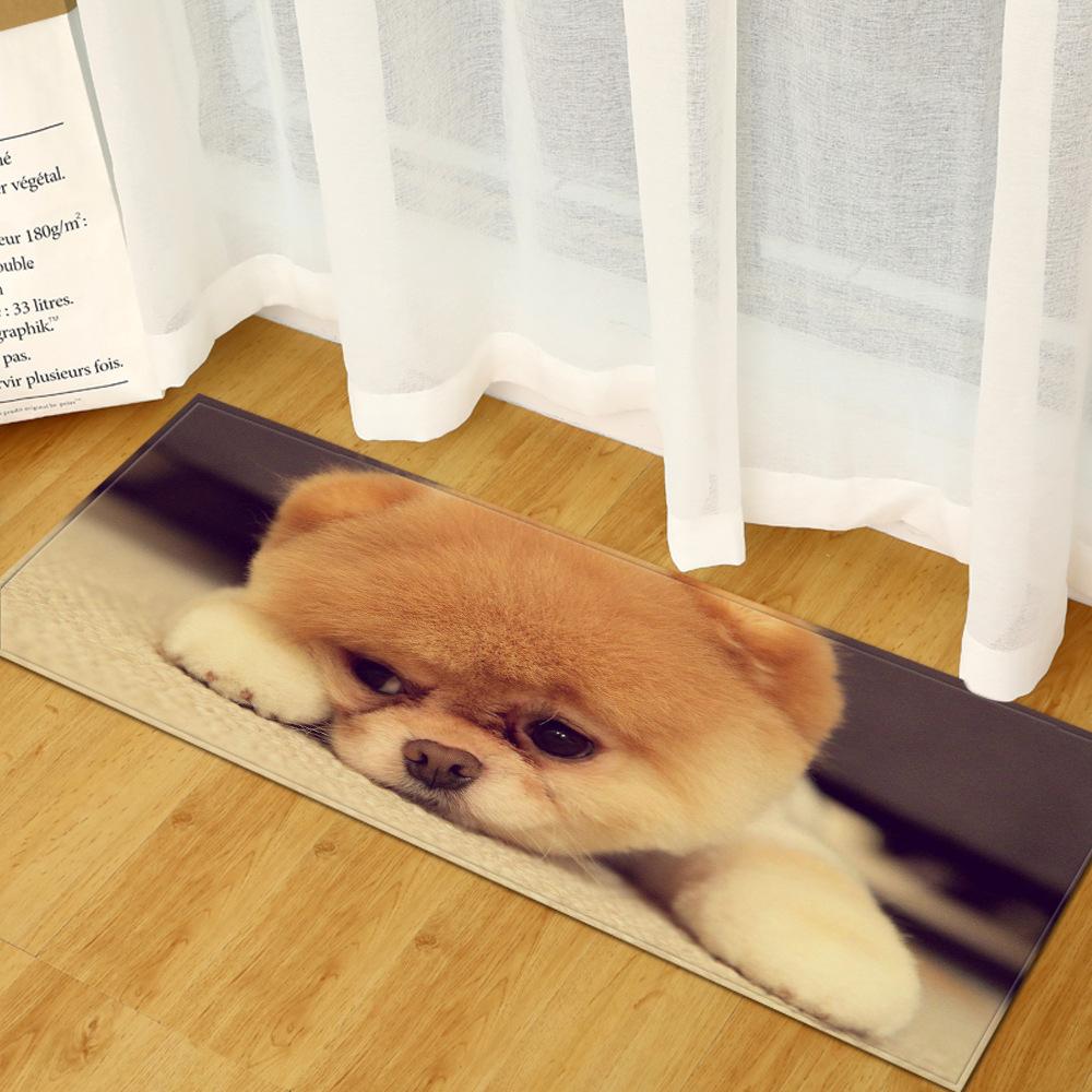 Animal Entry Mat Kitchen Absorbent Mat Bathroom Non-Slip Mat Bedroom Living Room Carpet Floor Mat