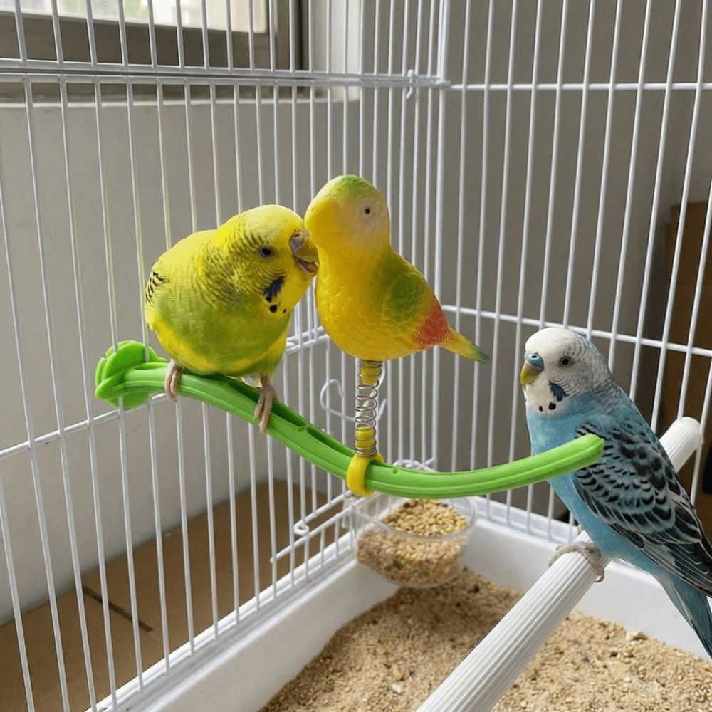 Simulation Bird Bird Perch Stand Plastic Parrot Play Rack Swing Perch Toy  For Small Medium Parrots