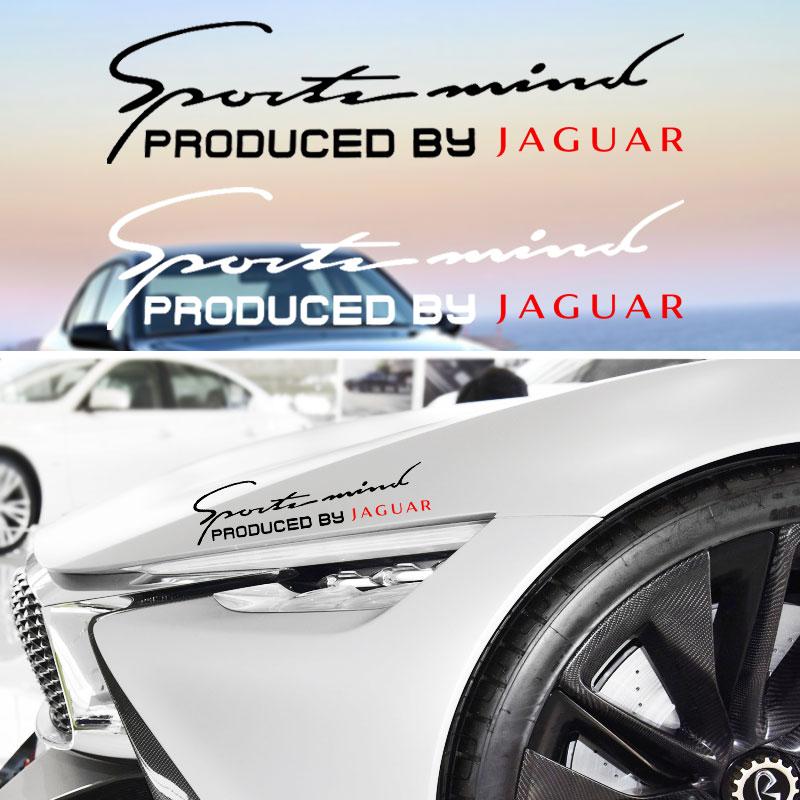 Decalque Decorador Sobrancelha Farol Dianteiro de Carro 3D Capô do Motor Design Esportivo Para Jaguar XF XJ XE S-Type F-Type X-Type F-Pace I-Pace E-Pace XFR XKR