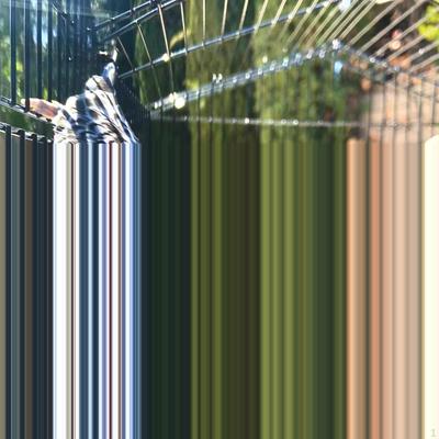 Palo de Perca para Pájaros Juguete para Morder Molienda de Uñas Juego y Descanso Soporte para Loro para Cacatúas Cacatúa